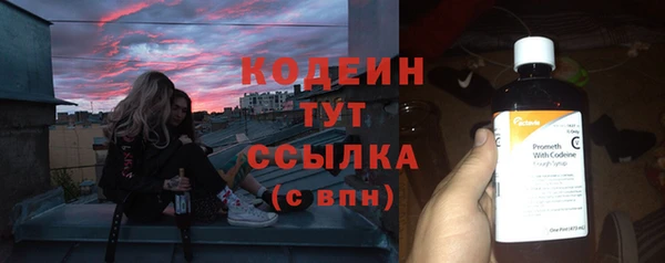 молекула духа Богородск