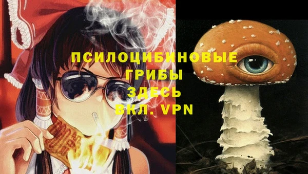 mdma Богданович