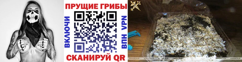 Псилоцибиновые грибы Magic Shrooms  Купить где  Новохопёрск 